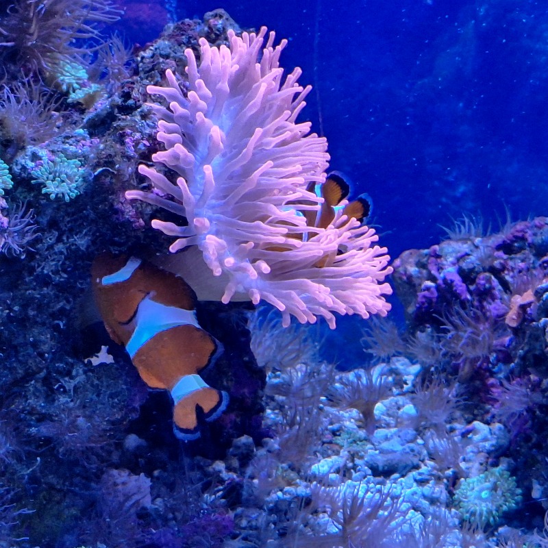 20240621_154028.jpg