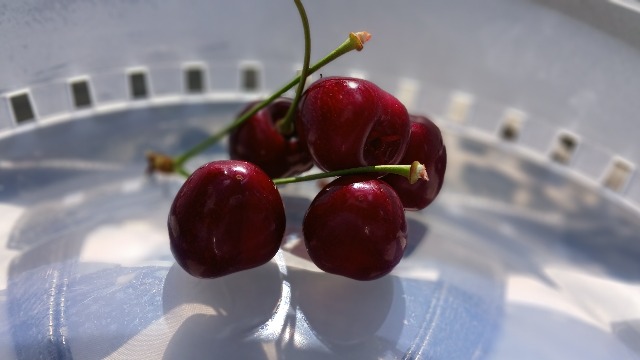 20250625_105251.jpg