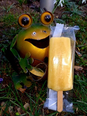 eis.jpg