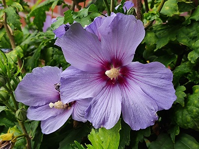 Bild48