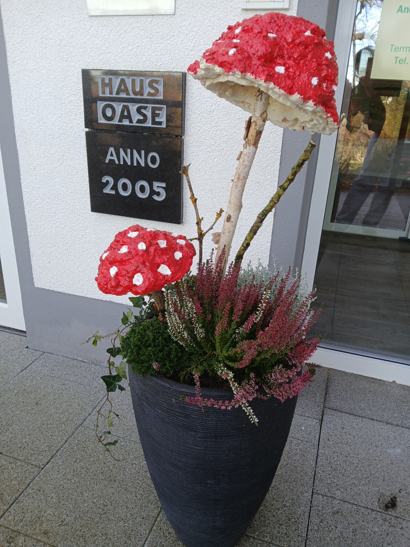 Fliegenpilze