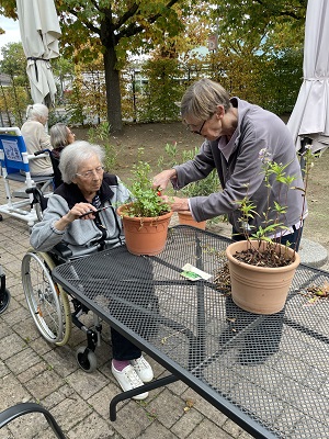 Gartenarbeit3.jpeg