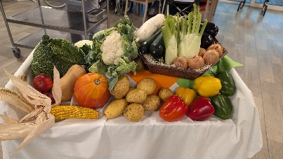 PXL_20240924_130024559.jpg